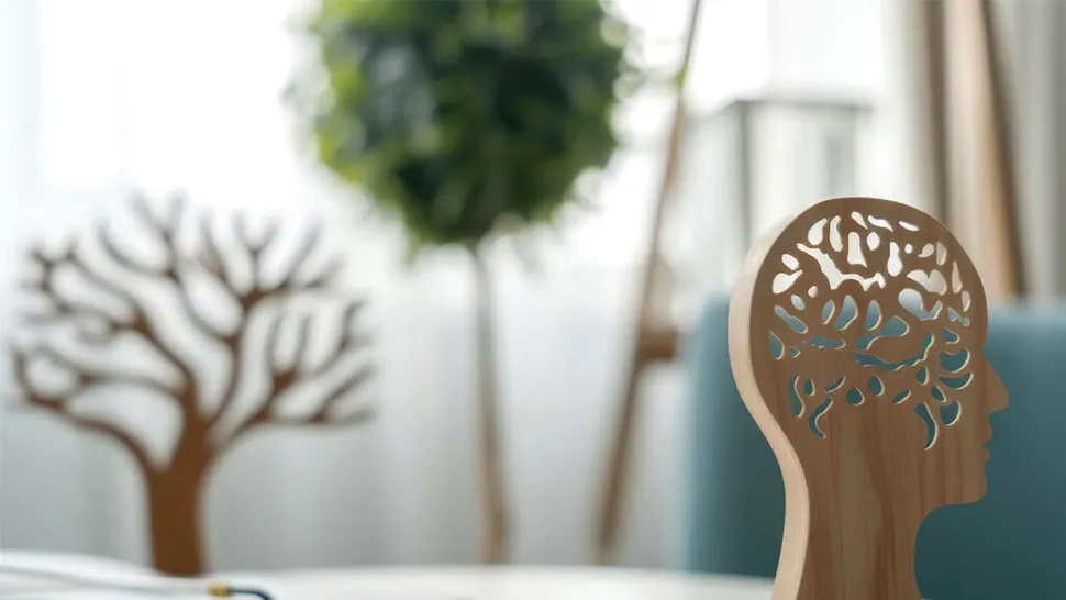 (P) Sănătatea emoțională － un lucru mai complicat decât pare