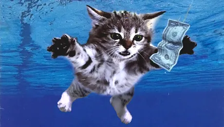 Dacă pisicile ar lansa albume muzicale… (Poze)