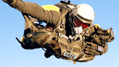 Cainii Navy Seals sunt echipati cu colti de titan