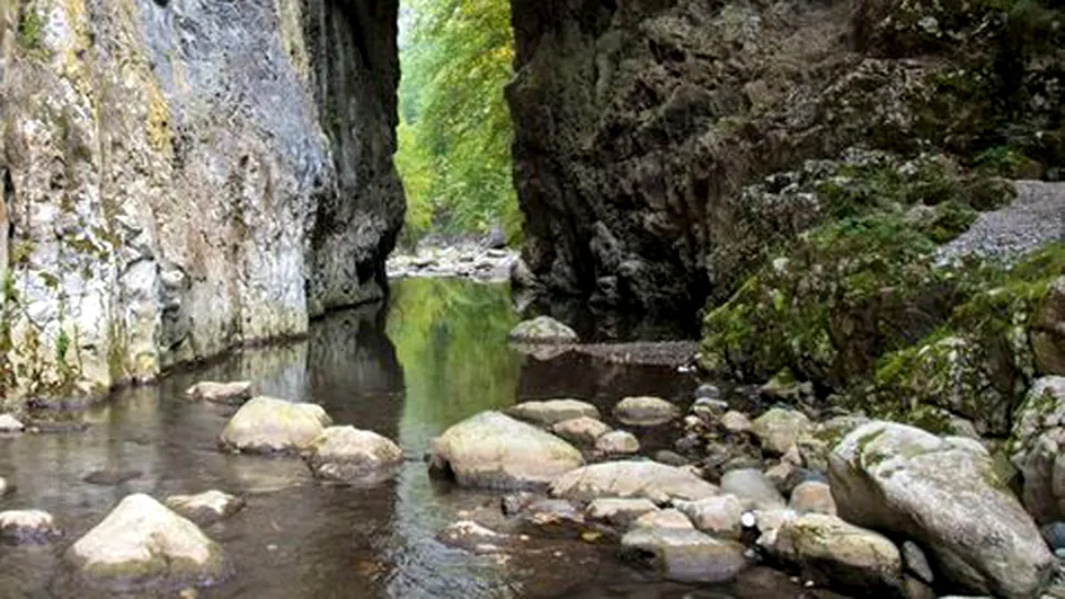 Cheile Râmețului - îngusta lume de apă și stâncă din Munții Trascăului