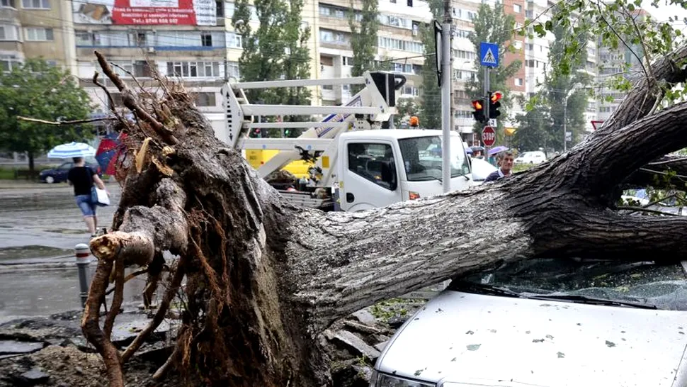 Un copac a căzut peste opt mașini pe Șoseaua Ștefan cel Mare din Capitală