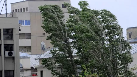 COD GALBEN de vânt în mai multe județe din țară