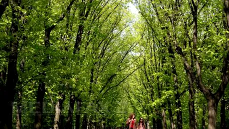 Cum va fi vremea până pe 19 aprilie 2015