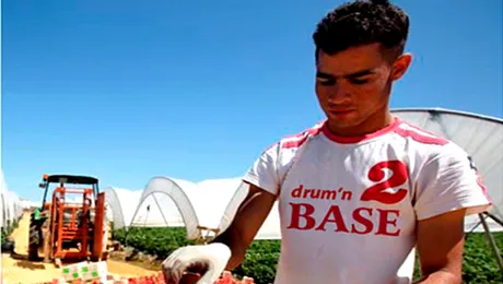 Numarul romanilor care au ales sa munceasca „afara” s-a triplat