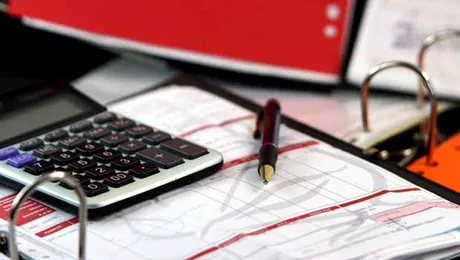 Culmea economiei: PDL vrea ca firmele mici sa aiba doi contabili!