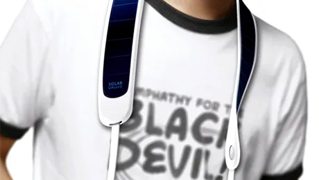 Ai purta la gat panouri solare?