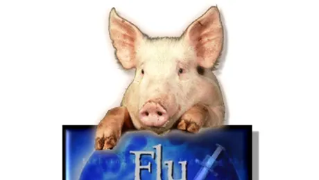 Paradox: Romania nu are cazuri de gripa noua, potrivit OMS!