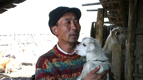 Permisul dumneavoastra de „nesimtit”, la control!