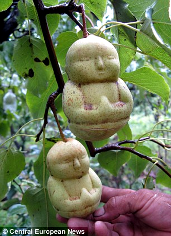 pere mini buddha