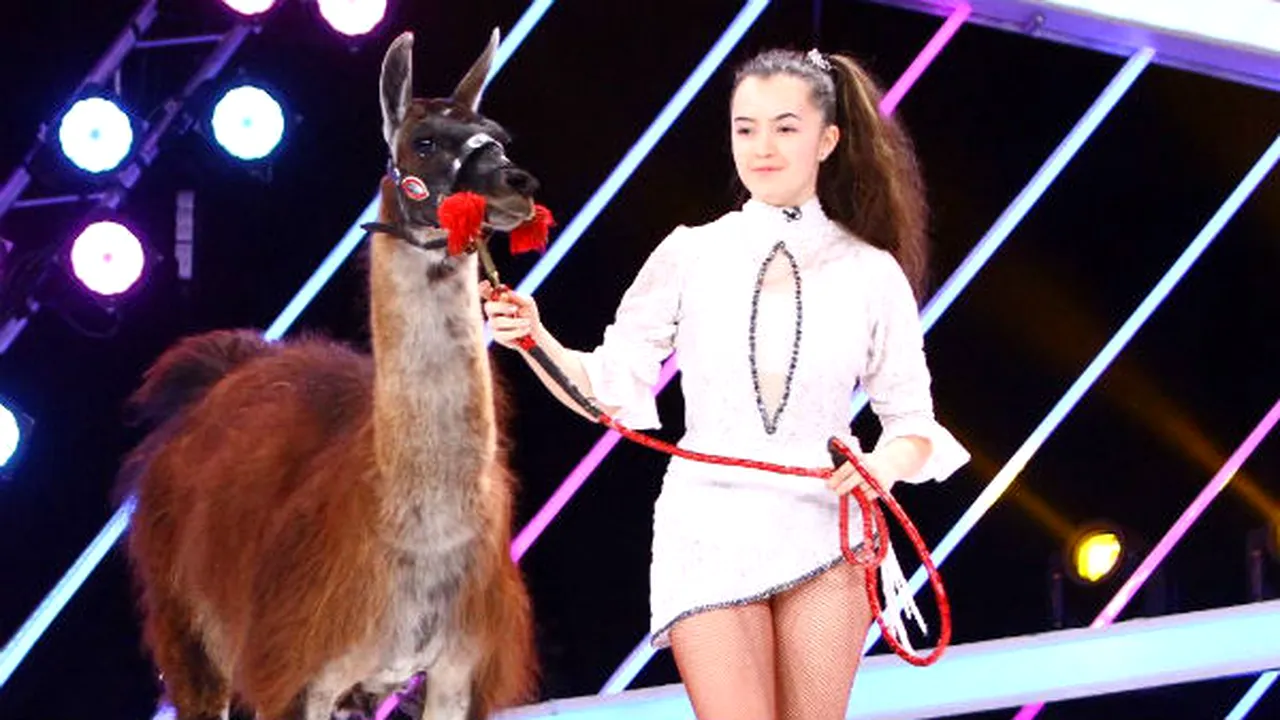 1-lama 