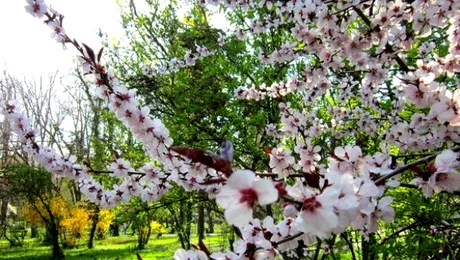 Vremea din București, în perioada 13-26 aprilie