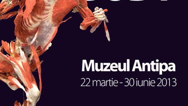 The Human Body Muzeul Antipa