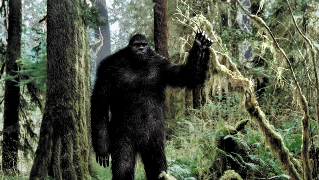 În Washington nu ai voie să hărțuiești un Bigfoot