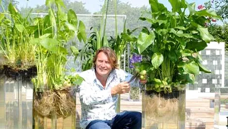 Viagra tine pana si florile ridicate