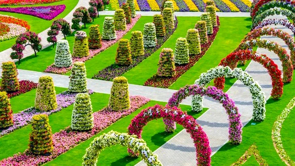 În Dubai a fost deschisă cea mai mare grădină de flori din lume (Poze)