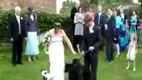 13 motive pentru care nu merită să te căsătorești