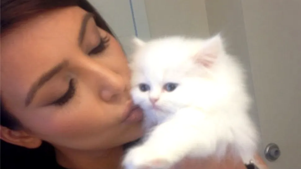 Pisicuţa lui Kim Kardashian pare nefericită