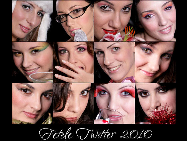 Calendar 2010 cu fete de pe Twitter