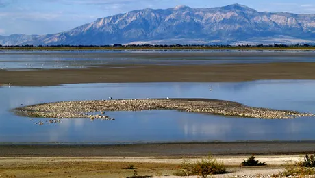 De ce este sărat Marele Lac Sărat?