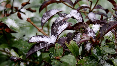 Prognoza meteo pentru vineri, 28 noiembrie 2014