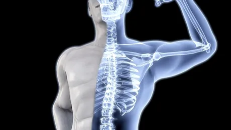 Suplimentele alimentare cu vitamina D, inutile pentru întărirea oaselor la adulții sănătoși