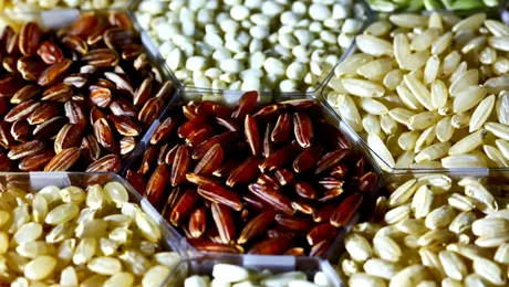 Sunt toate tipurile de orez albe?