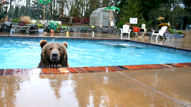 E drept, are și condiții de invidiat