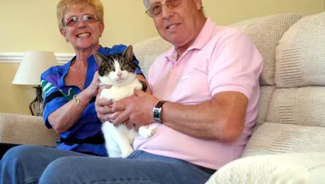 Au donat canapeaua… cu tot cu pisică