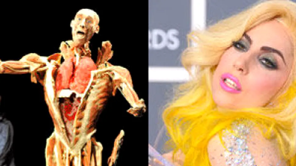 Lady GaGa vrea cadavre umane pe scena, in show-urile ei!