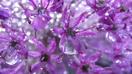 Vremea.Apropo.ro: Prognoza meteo pentru vineri, 7 martie 2014