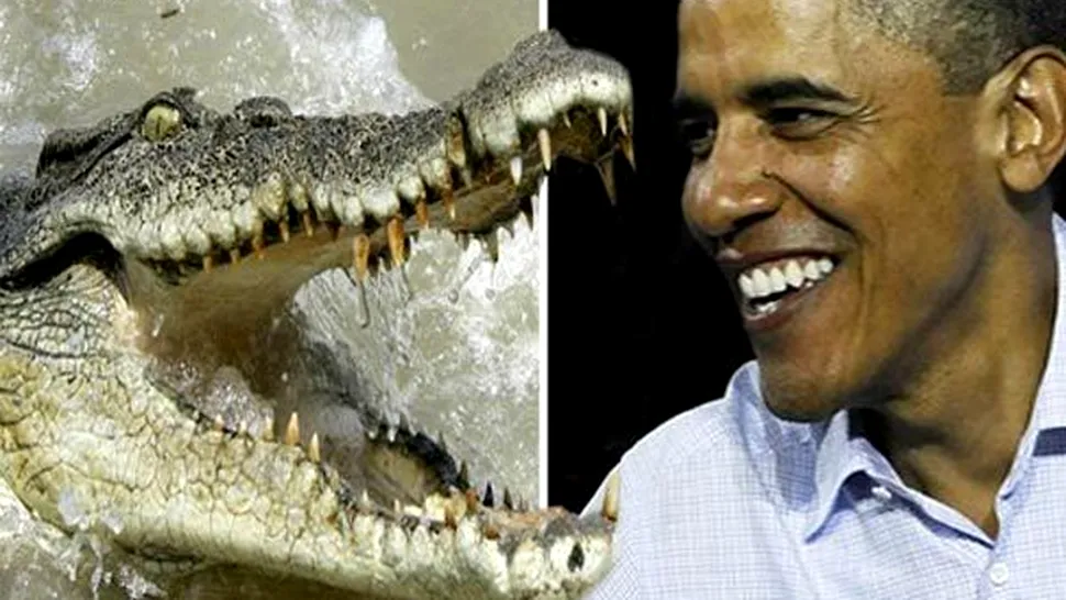 Cadou inedit pentru Obama: asigurare impotriva... crocodililor!