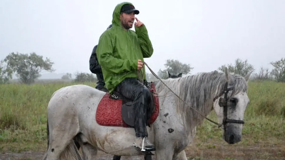 Alex Dima, despre situaţia cailor de la Letea