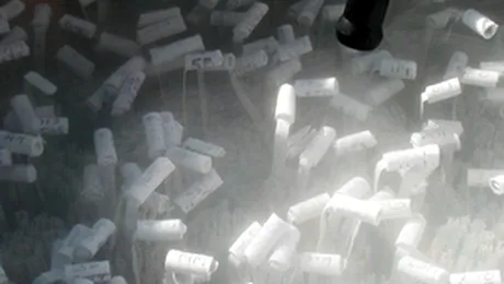 A fost produsa sperma artificiala!