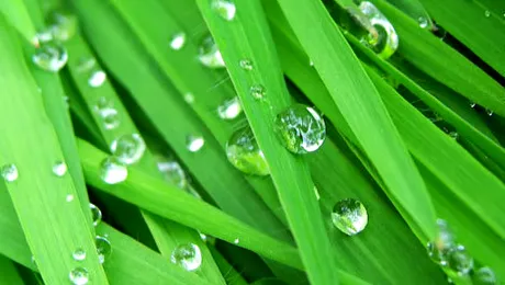 Vremea.Apropo.ro: Prognoza meteo pentru miercuri, 25 iunie 2014