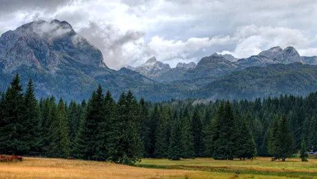 Vremea.Apropo.ro: Prognoza meteo pentru miercuri, 26 februarie 2014