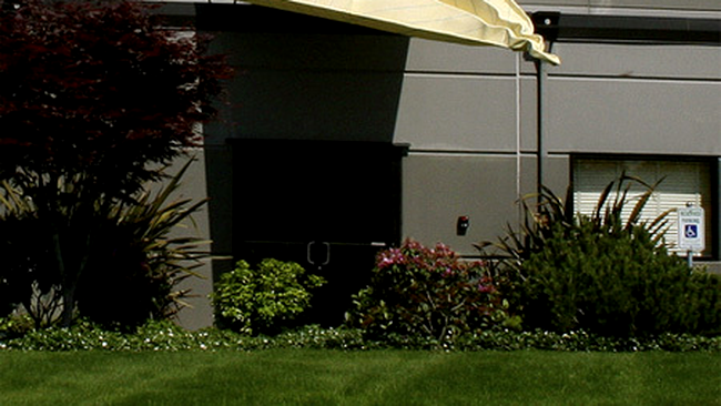 Cu avionul de hartie pe cladire