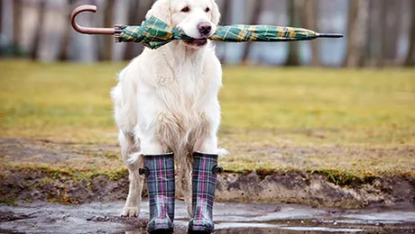 Vremea.Apropotv.ro: Prognoza meteo pentru joi, 23 octombrie 2014