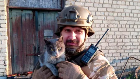 Oleg Sentsov luptă în Ucraina. Alte staruri care au participat la războaie pe când erau deja celebre