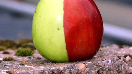 Alba ca Zapada, ce zici de marul asta?