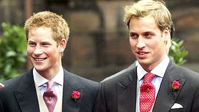 William si Harry