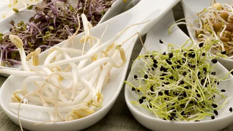 Germenii de semințe și beneficiile lor pentru sănătate