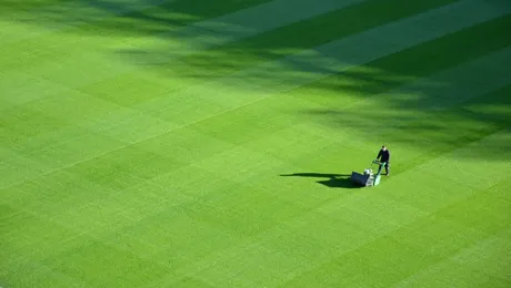 29 de sfaturi pentru mașina de tuns iarba: înainte, în timpul și după ce tundeți