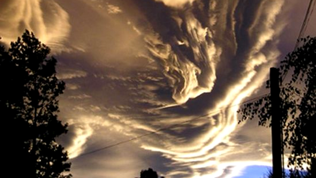 Norii Asperatus