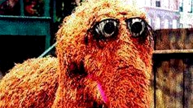 Aloysius Snuffleupagus
