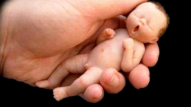 Arta cu bebelusi din ciocolata