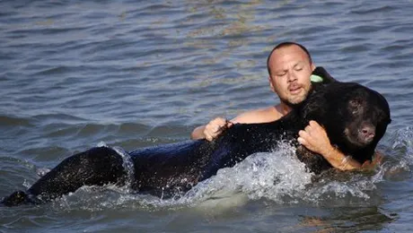 Si-a riscat viata, dar a salvat un urs de la inec (Poze)