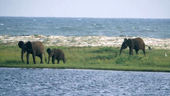 Loango National Park, Gabon
