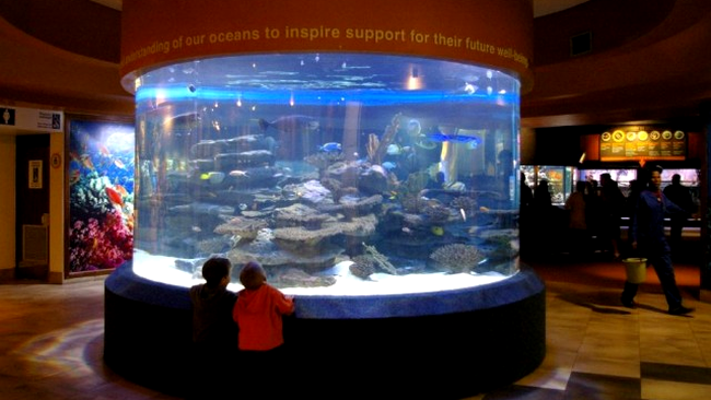Two Oceans Aquarium