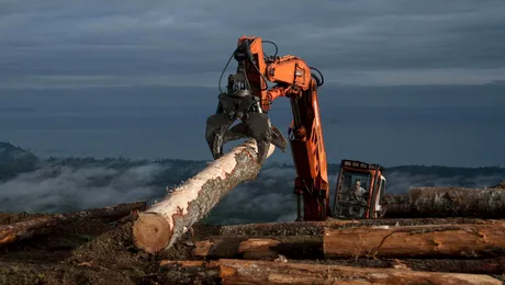 „Oamenii cu topoare” se întorc pe History cu un nou sezon