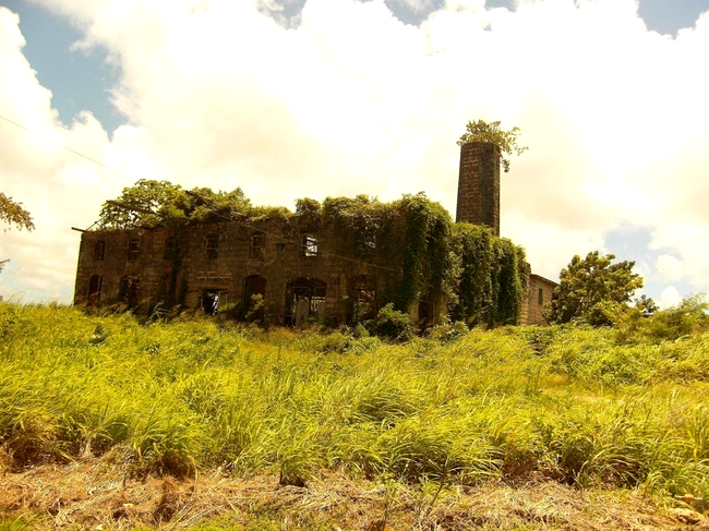 Distilerie abandonată în Barbados